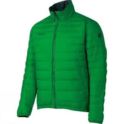 Chaquetas Mammut Whitehorn Hombre Verde - Chile LJR671854